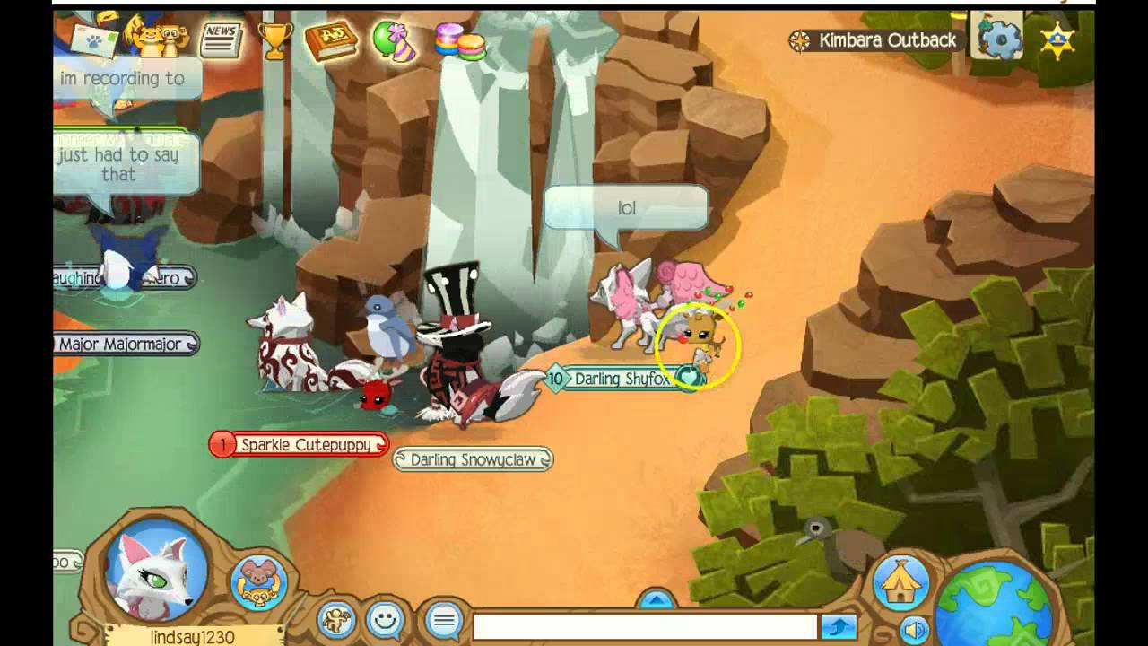 Animal jam kimbara outback adventure book