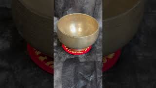 IMG 0874