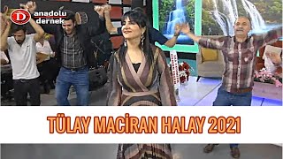 Tülay Maciran - Ekin Ektim Tarlaya Kızlar Gelip Biçecek (Halay) 2021 !!! Resimi