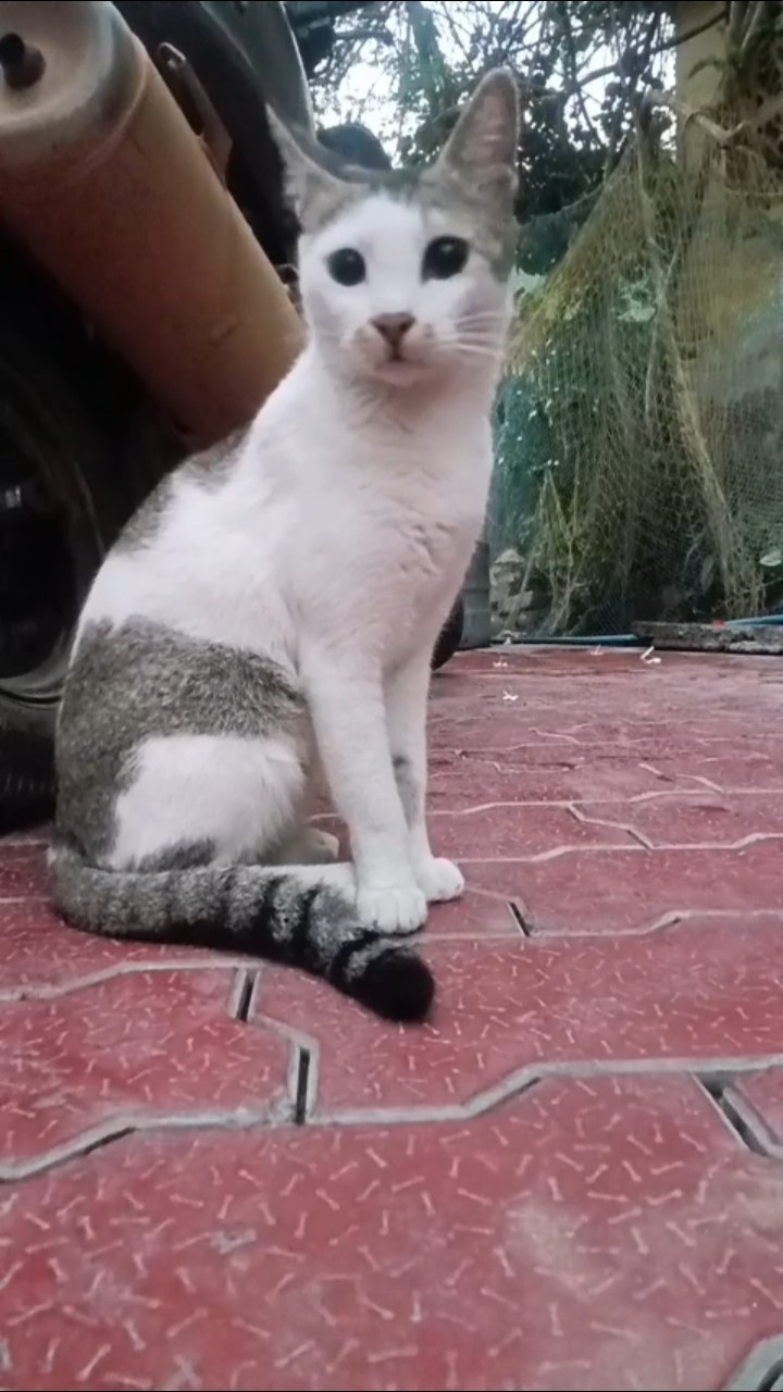 😂காமெடி வீடியோஸ்😂💞 - ShareChat