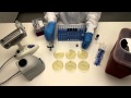 How to Perform Serial Dilutions in Microbiology