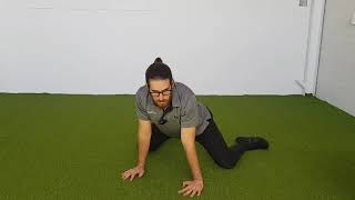 Frog Stretch PNF