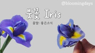 아이리스(붓꽃) 파이핑 쉬운방법 Iris flower  piping techniques