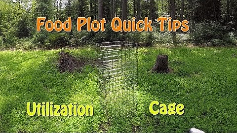 Food Plot Quick Tips:  Utilization Cage