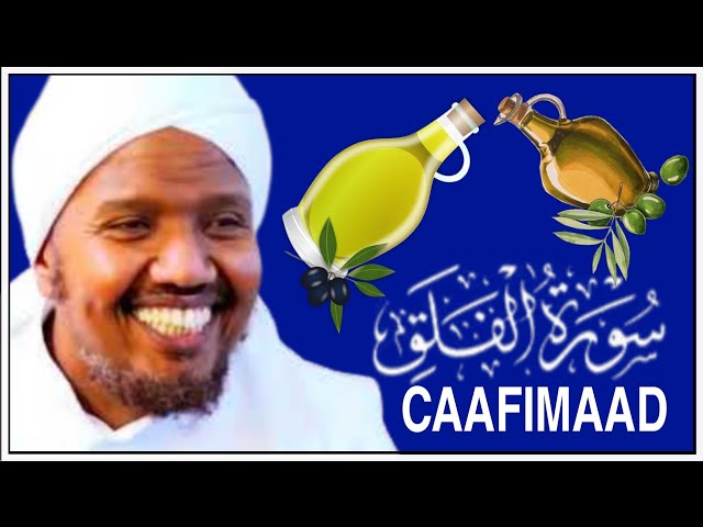 sheekh cabdirashiid sh cali suufi oo tilmaamay sirta caafimaad ee saliid saytuunta iyo suuratulfalaq class=