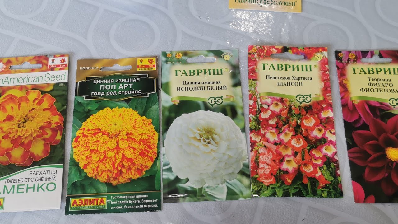 Пришла посылка с новой партией семян🤗🤩