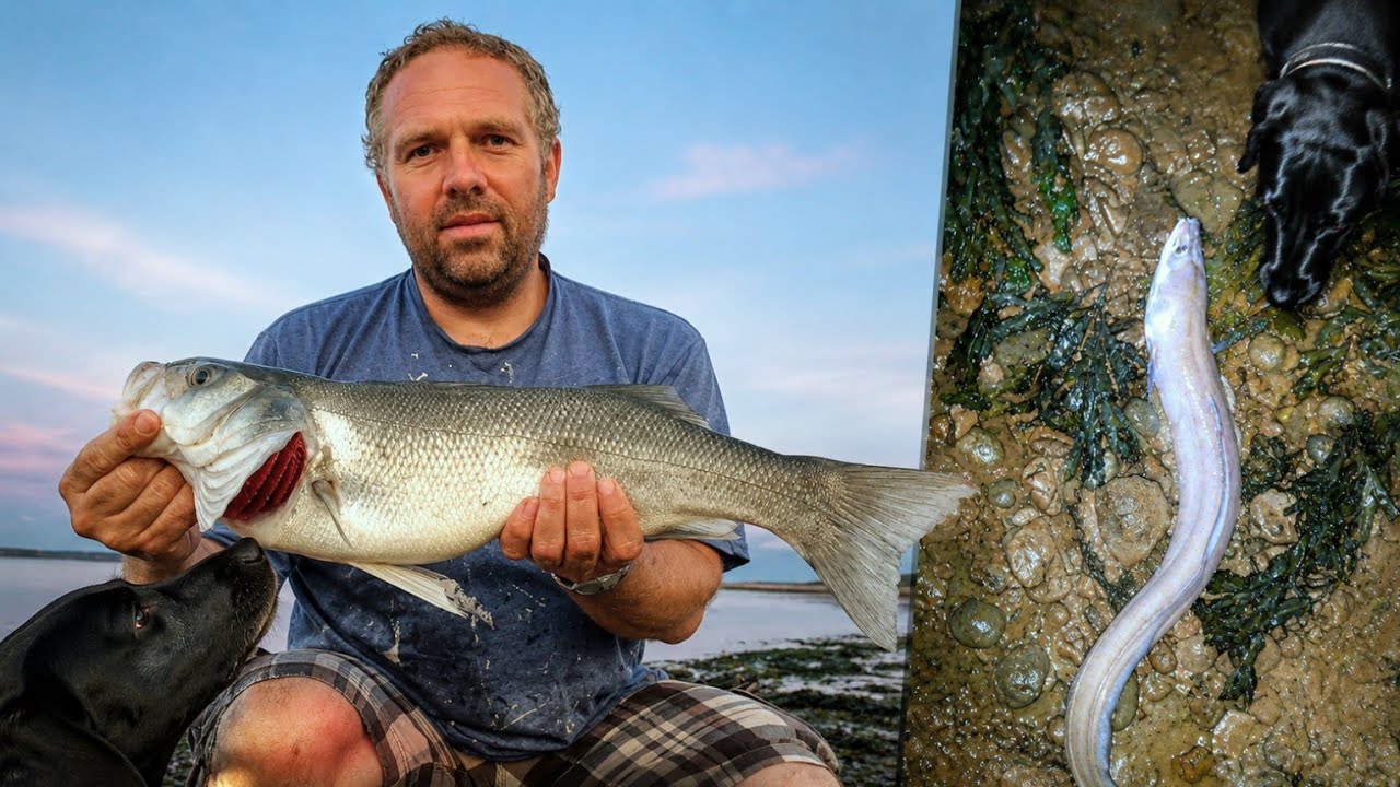 58cm bass + 5.5lb conger + loads of bites | Fishing down Penarth