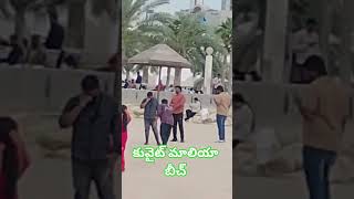 Kuwait city maliya bech