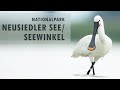 Nationalpark Neusiedler See/Seewinkel - Fauna und Tierfotografie