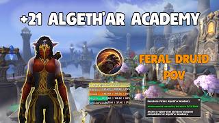 +21 Algeth'ar Academy | Feral Druid POV | Midnight Season 1