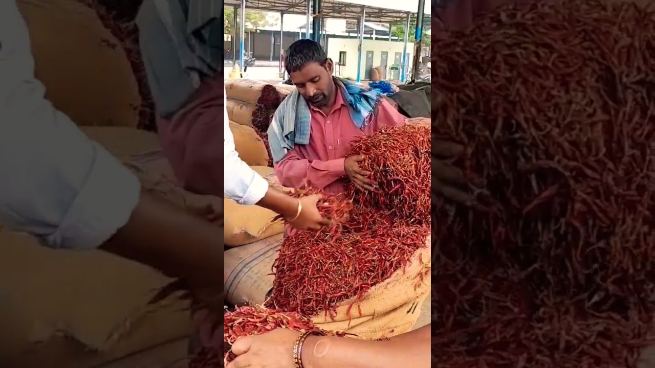 See how the mirchi bastas are seen in the market 