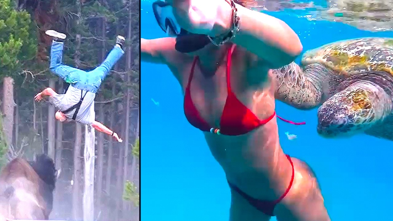 Original Title & Thumbnail
