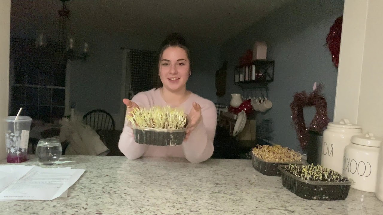 Phils Crispy GreensGrow Kit Instructional Video YouTube