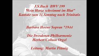 Bach Kantate BWV 199 Mein Herze schwimmt im Blut, Martin Flämig, Barbara Hoene