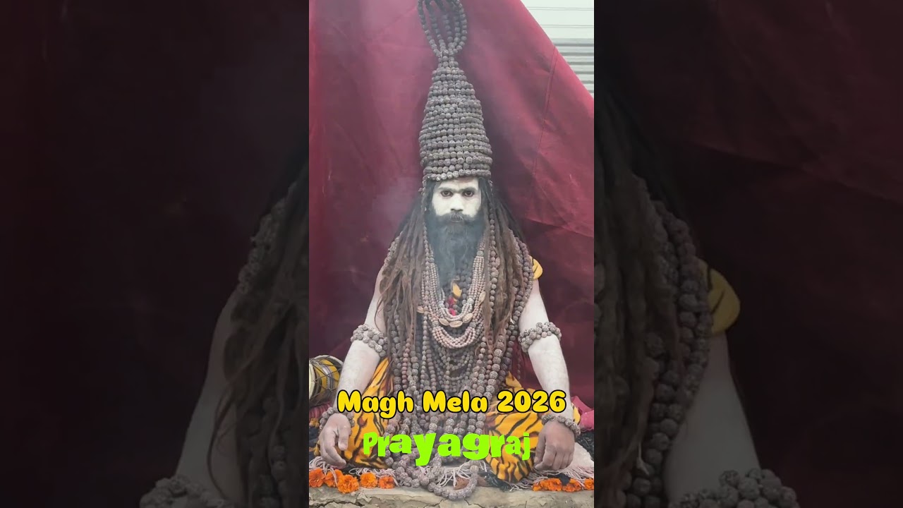 Magh mela 2026 prayagraj #shorts