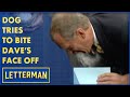 The Dog That Tried To Bite Dave&#39;s Face Off | Letterman