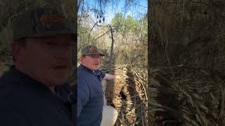 Inside A Beaver Den #beavers #thegreatoutdoors #sneekpeek
