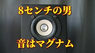 TangBand W3-2141 空気録音 EL34 真空管アンプ 8cm Fullrange speakers