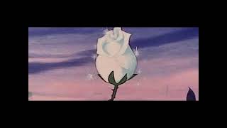 bifty - plum 【﻿ｌｏｆｉ】