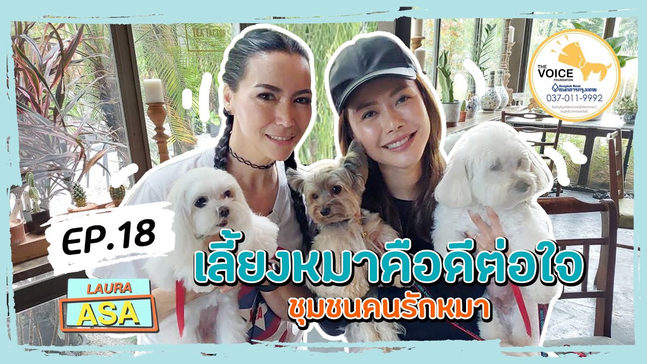 รายการลอร่าอาสา ep 18 ชุมชนคนรักหมา 