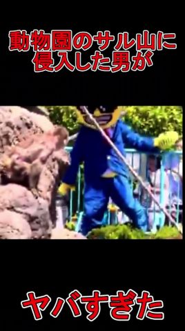 動物園の猿山に侵入した男がヤバすぎた