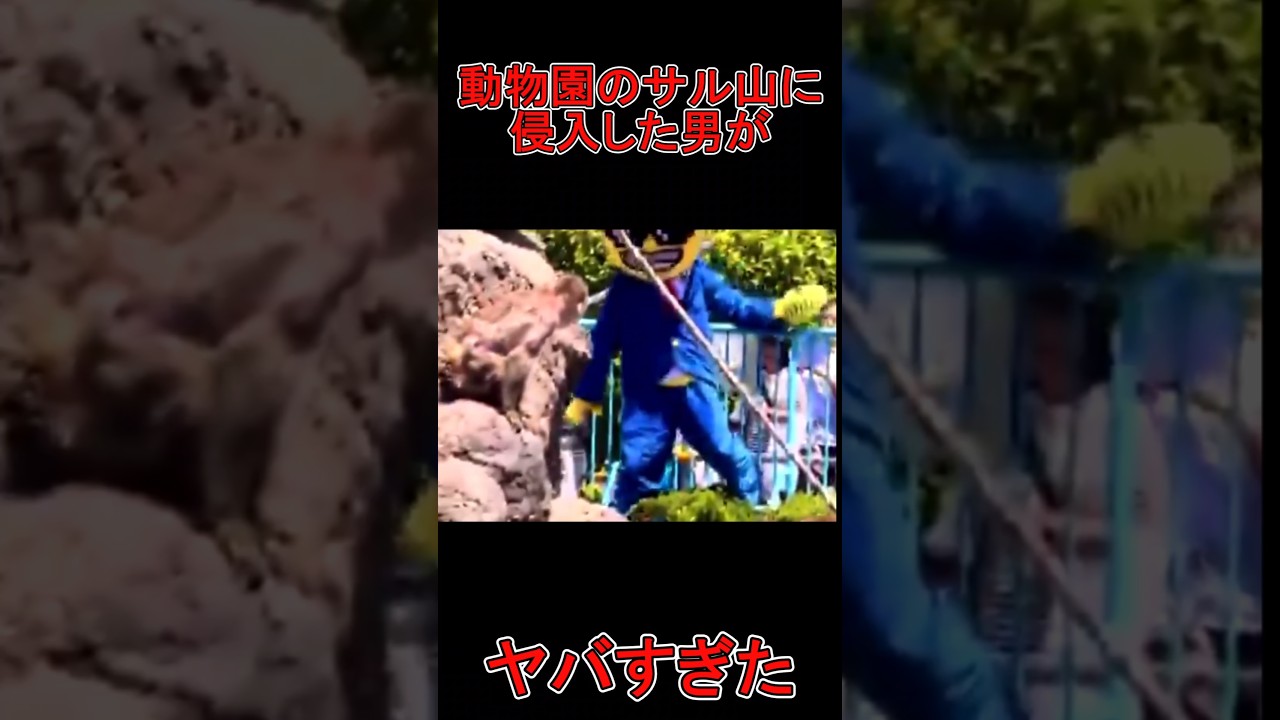 動物園の猿山に侵入した男がヤバすぎた