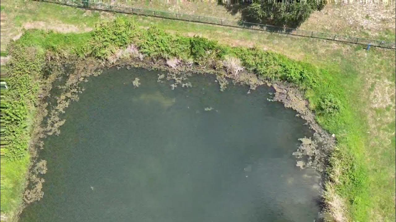 South Brevard County Florida Aerial Live Stream 07/13/2024 YouTube South Brevard County Florida Aerial Live Stream 07/13/2024 YouTube