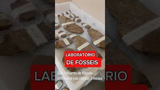 O laboratório de FÓSSEIS #geologia #biologia #jurassicpark #jurassicworld #ensino #dinossauro