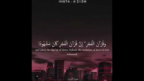 آيات من الذكر الحكيم