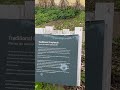 Outside of the Indian Museum