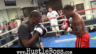 RINGSIDE(リングサイド) GEL・マイクロ パンチング・ミット