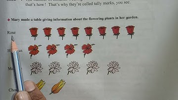 Class - 3 subject - Maths chapter - Handling Data