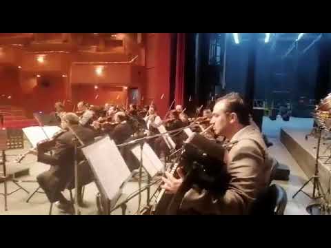 نجوم الليل فريد الأطرش