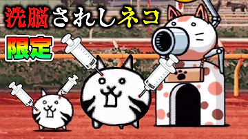 洗脳されしねこ 洗脳されしねこ