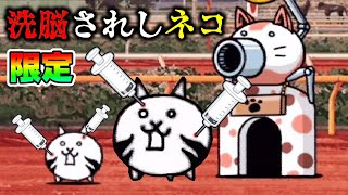 The Battle Cats] What kind of cat is this? The visual of the