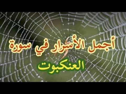 معجزات في سورة العنكبوت