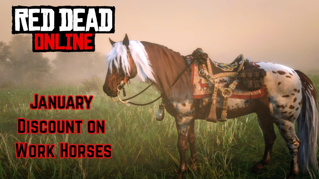 January Discount: Work Horses