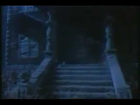 Dana Bash Home Video Leaked To Internet - YouTube