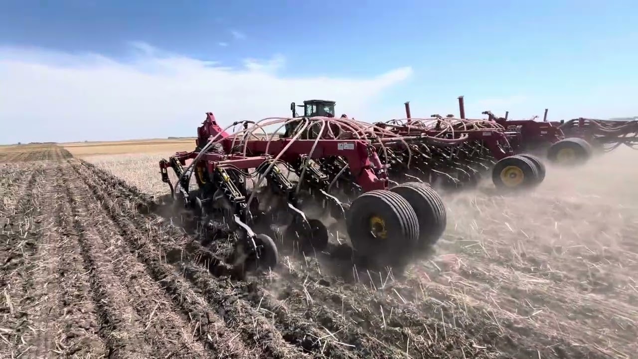 9RX590 Planting Canola with Bourgault Air Drill in Saskatchewan May 2025