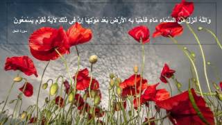 The Most Beautiful Quran Recitation of Surah An-Nahl by Qari Hazza al Belushi HD