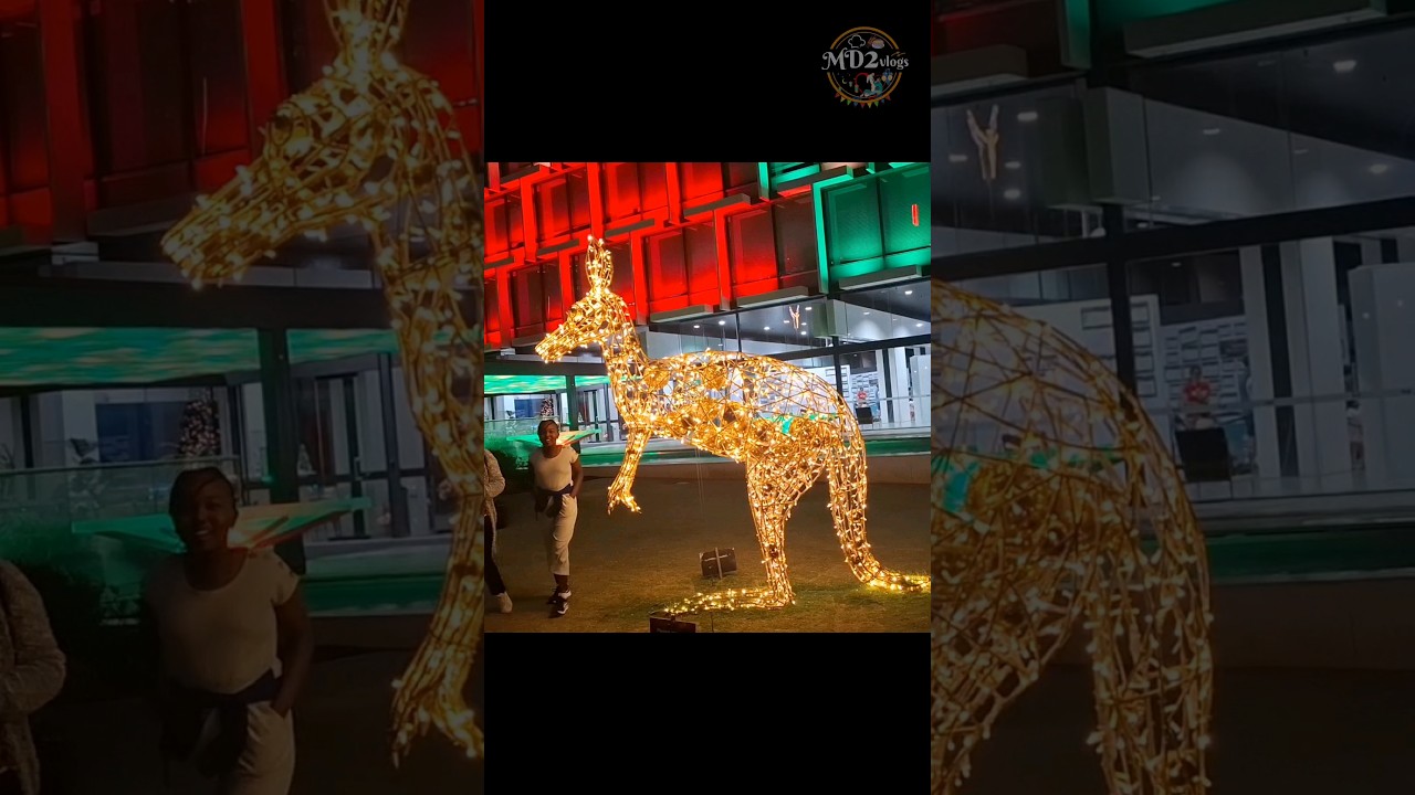 Christmas kangaroo lights 