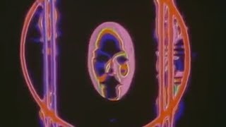 Purr - Painted Memory