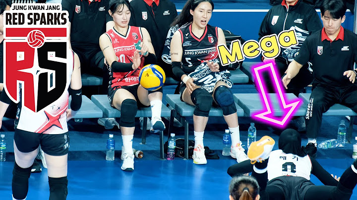 배달 사고💨메가왓티🔥정관장배구 Red Sparks Volleyball Korea
