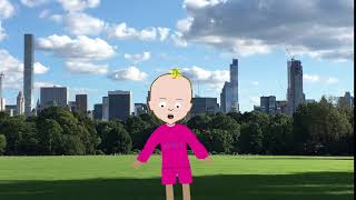 Roo Animate Test