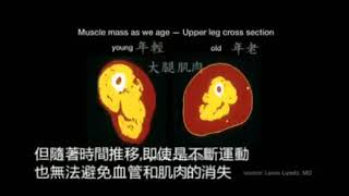 Nmn Experiment Test Of Blood Flow And Muscle Lost From Dr David Sinclair