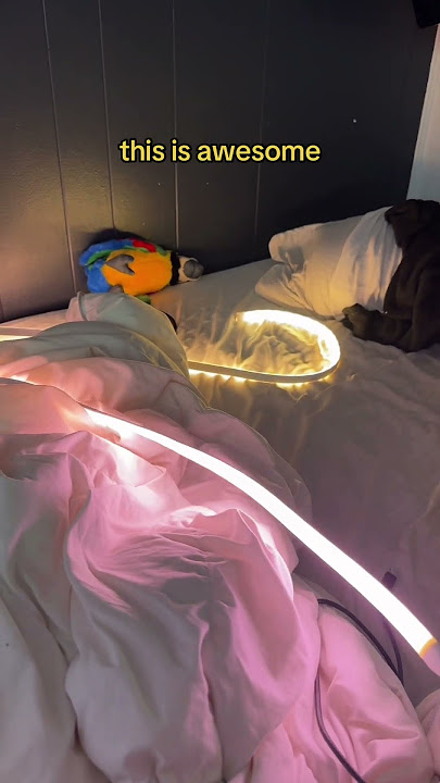 Are Phillips Hue RGB strips worth $200? #carterpcs #tech #techtok #gaming #techfacts #rgbstrip