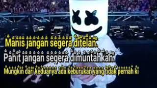 Dj Lily Alan Walker|story wa