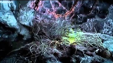 Phim Mới Lưu diệc Phi Đẹp như thiên thần Hay Nhất 2015