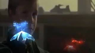 Nature Of Nicholas Innocence