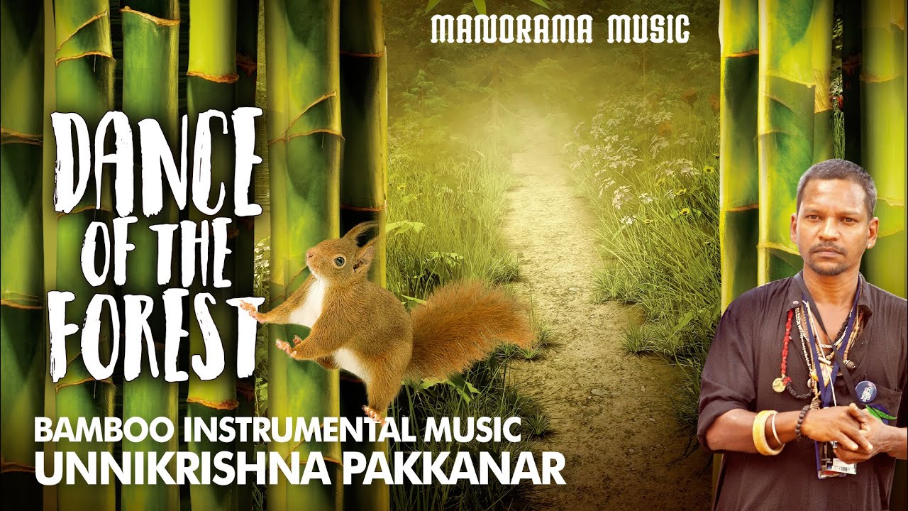 Dance Of The Forest Bamboo Instrumental Music Unnikrishna Pakkanar Tribal Music Youtube youtube